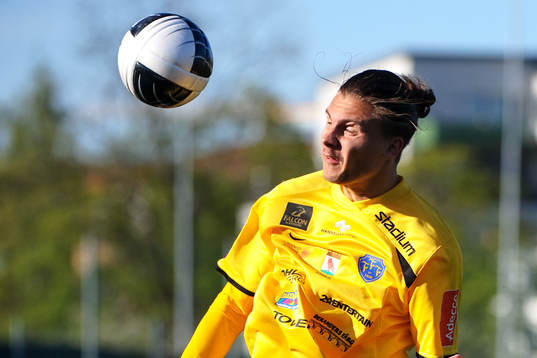 Erik Johansson, Falkenberg