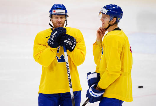David Petrasek och Carl Gunnarsson