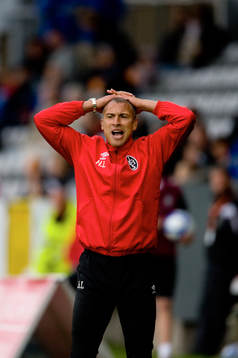 Henrik Larsson, tränare