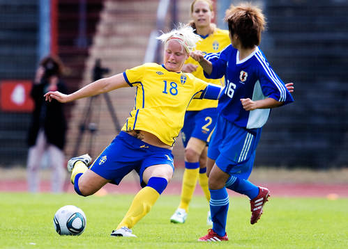 Nilla Fischer, Sverige