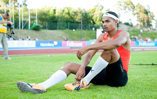 Michel Torneus, Sverige