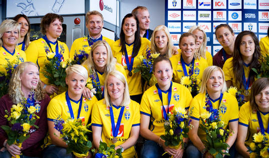 Sverige, lagbild, Landvetter