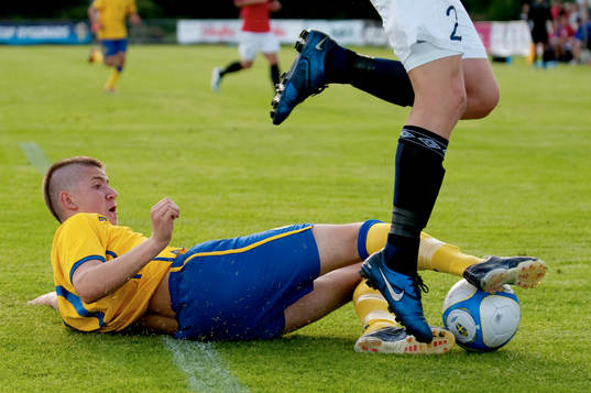 Darijan Bojanic, Sverige