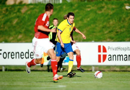 Branimir Hrgota, Sverige