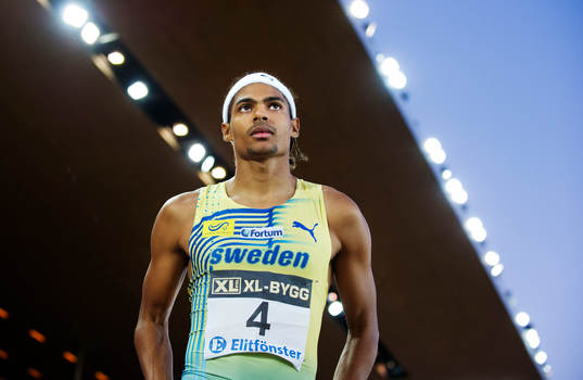 Michel Tornéus, Sverige