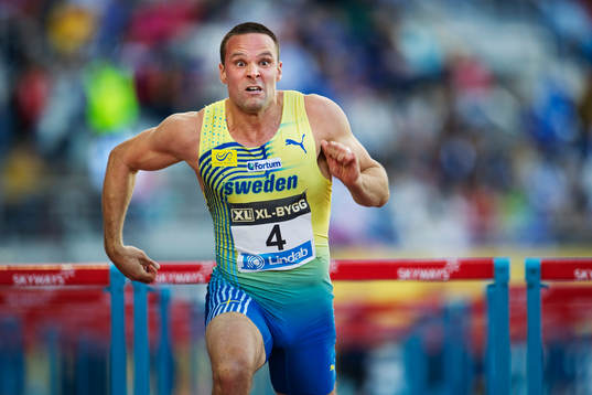 Robert Kronberg, Sverige