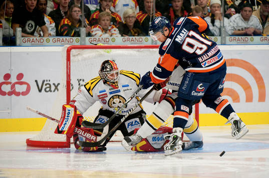 Niklas Svedberg, målvakt, Brynäs, Gustav Hjalmarsson,