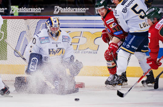 Daniel Larsson, målvakt, Hv71