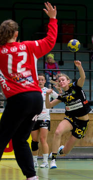 Hanna Fogelström, Sävehof
