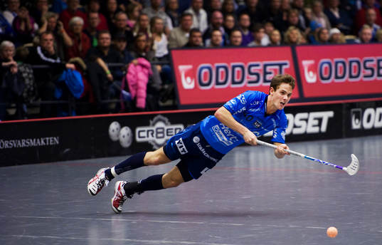 Rikard Eriksson, Warberg