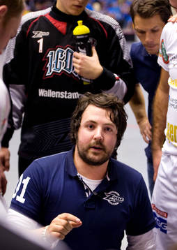 David Jansson, tränare