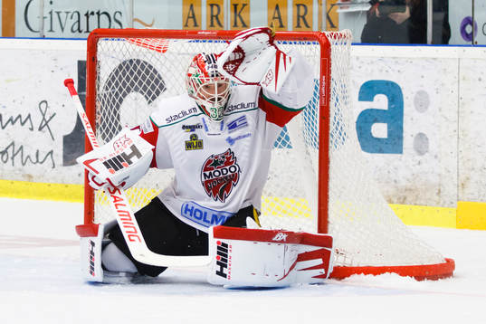 Mikael Tellqvist, målvakt