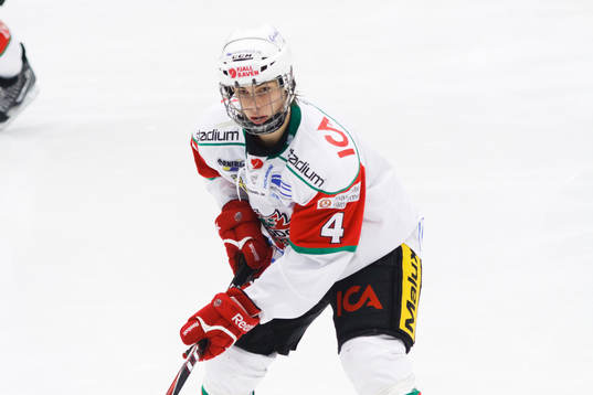 Gustav Possler