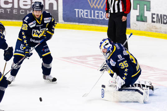 Andreas Andersson, HV71 (Målvakt) och David Petrasek, HV71