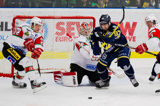 Mikael Tellqvist, Modo (Målvakt), Per Ledin, HV71, Joonas