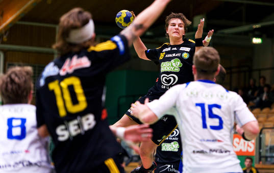 Robert Månsson, Sävehof