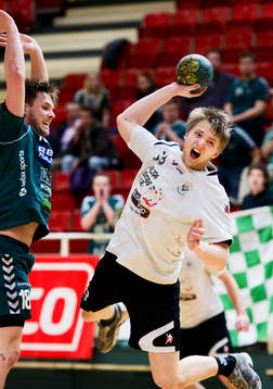 Mikael Bjäring, Warta