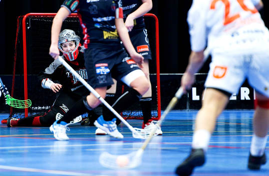 5, Pixbo - Rönnby: Sara Hjorting, målvakt, Pixbo