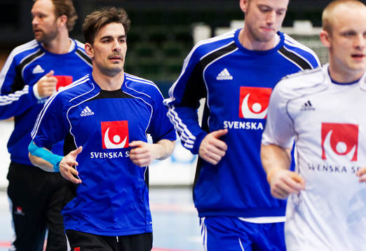 Dalibor Doder, Sverige