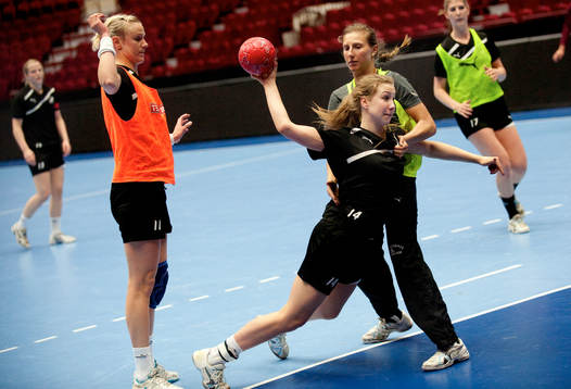 Anna Lagerquist, Lugi