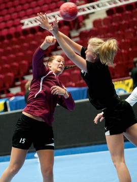 Lina Larsson, Lugi