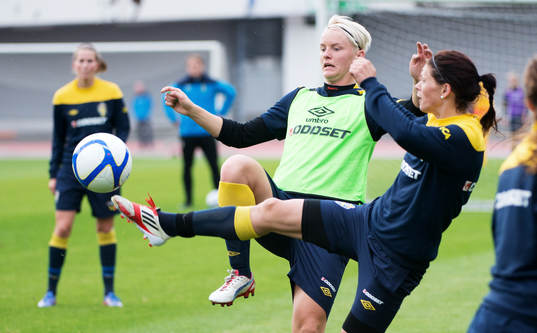 Nilla Fischer, Susanne Moberg, Sverige