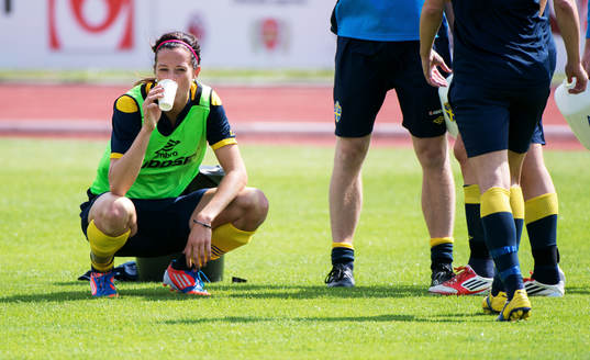 Lotta Schelin, Sverige