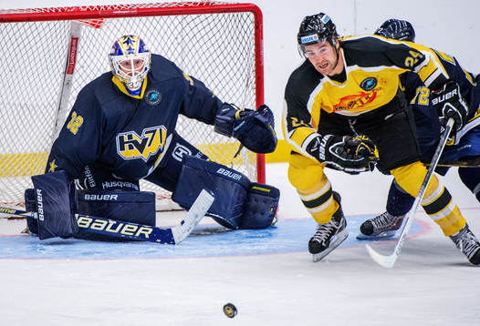 Gustaf Wesslau, målvakt, HV71, Jonathan Ferland, Vienna