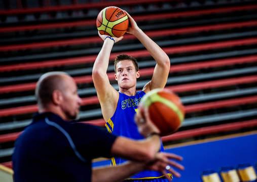 Jonas Jerebko, Sverige