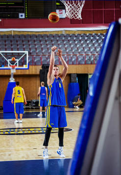 Jonas Jerebko, Sverige
