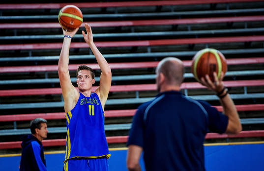 Jonas Jerebko, Sverige