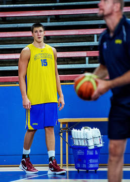 Carl Engström, Sverige