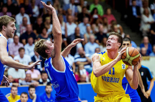 Jonas Jerebko, Sverige