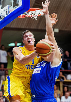 Jonas Jerebko, Sverige