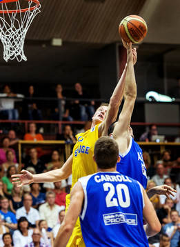 Jonas Jerebko, Sverige