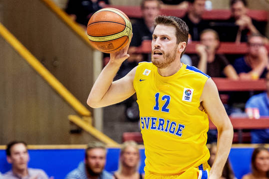 Mikael Lindqvist, Sverige