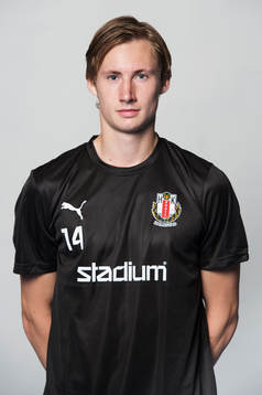 Viktor Hallén, Drott