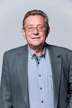 Olle Hagström, Ordförande Svensk Elithandboll Herr