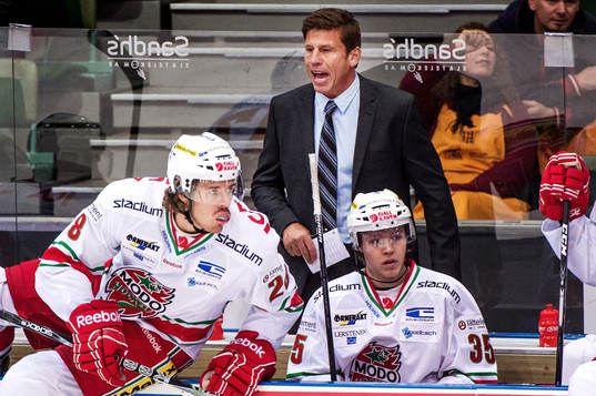 Ulf Samuelsson, tränare Modo, skriker på sina spelare