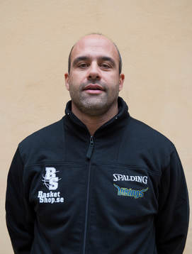 Aris Lykogiannis, Solna Vikings
