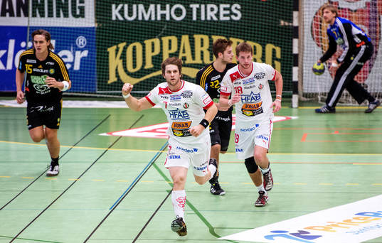 Michael Mattsson, Drott, jublar