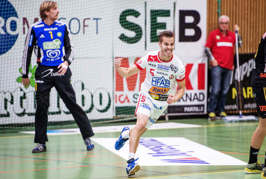 Martin Bystedt, Drott, jublar