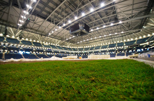 Det första gräset är lagt i Friends Arena