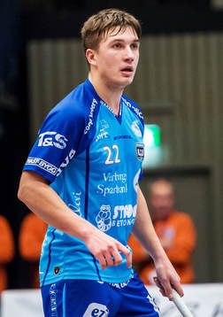 Linus Henriksson, Warberg