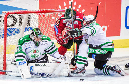 Bläddra bland fler bilder av Ishockey, Elitserien, Frölunda - Rögle