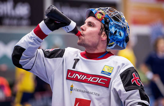 Patrik Åman, målvakt, Sverige