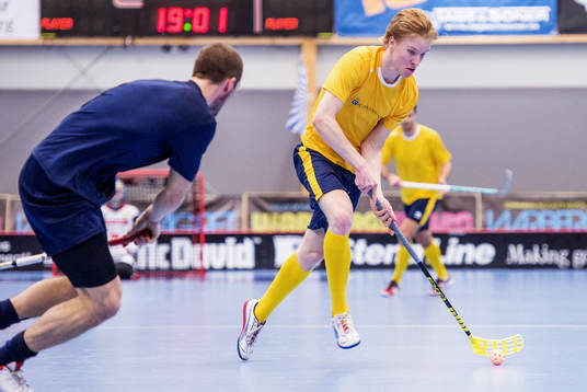 Alexander Rudd, Sverige