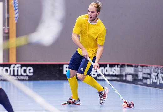 Martin Östholm, Sverige