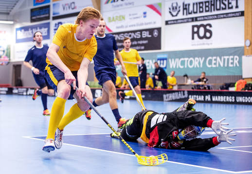 Alexander Rudd, Sverige