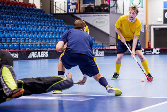 Johan Samuelsson, Sverige